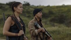 Ftwd308 2359