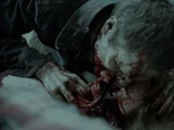Homicidios: Temporada 10