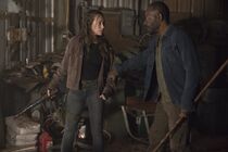 FTWD 409 RG 0321 1193 RT