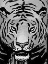 Shiva (cómic)
