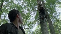 Spencer encontrando al caminante en la cima de un arbol.