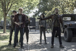 Death and the Dead (9,24 MB) Death and the Dead