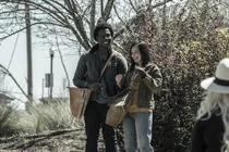 TWD-1124-080.jpg (501 kB)