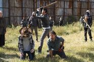 TWD 716 GP 1111 0184-RT