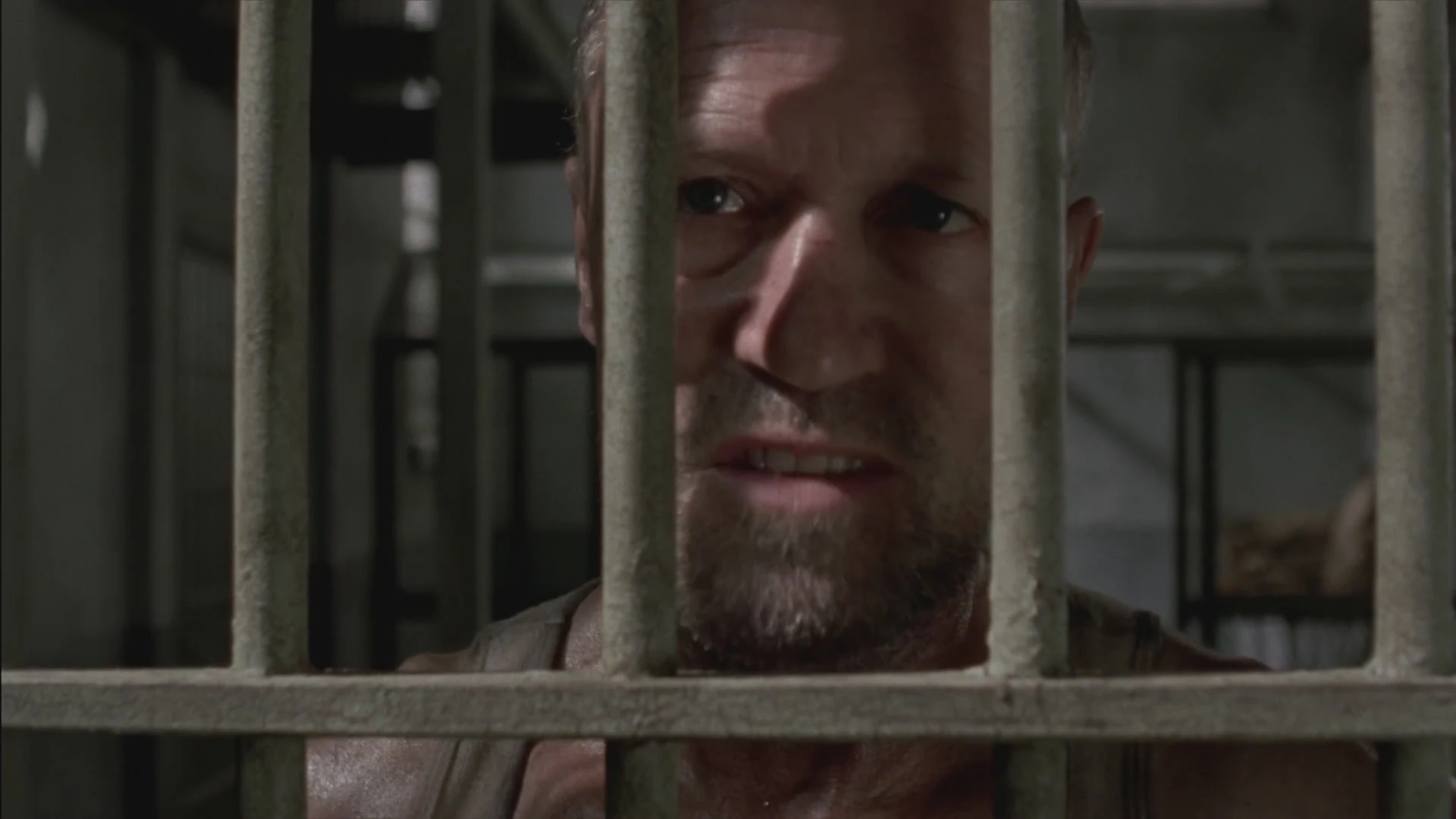 Merle Dixon/temporada 3 | The Walking Dead Wiki | Fandom, image size:1920x1080