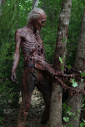 TWD 601 walker