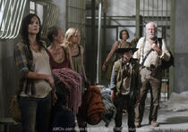 TWD GP 301 0509 0510