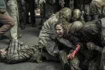 TWD-1124-008.jpg (527 kB)