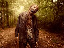 Twd-walker-season9-poster.jpg (205 kB)