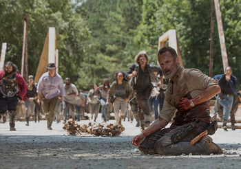 TWD 905 JLD 0619 03073 RT