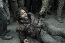 TWD-1124-006.jpg (518 kB)