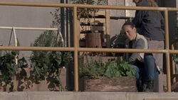 Laura ayudando en la reconstrucción del Santuario como jardinera.