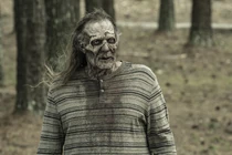 TWD-1124-110.jpg (516 kB)