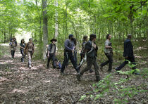 TWD-502-group3