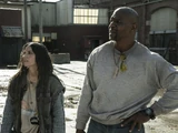 Evie / Joe