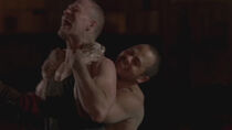 Martinez y Merle combatiendo en la arena de batalla.