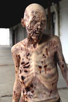 Bullet-boy1-RT-GN-1.jpg (143 kB)