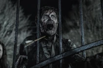 TWD-1124-049.jpg (530 kB)