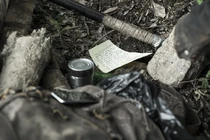 TWD-1124-120.jpg (350 kB)