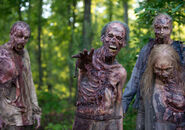 The-walking-dead-episode-601-walkers-3-935