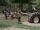 Twd-906 19517.jpg