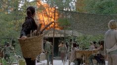 Twd0715-1979