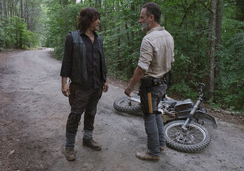 TWD 904 GP 0613 0204 RT