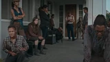 Twd0609-3184
