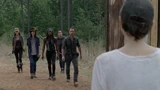 Twd0708-3783