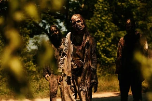 Twd-s10b-walker1-SHADOWS.jpg (103 kB)