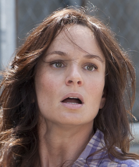 Lori Grimes The Walking Dead Wiki Fandom 