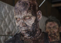 TWD-516-walker-935