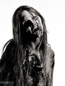 Walker2S4.jpg (66 kB)