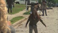 Twd206 1613