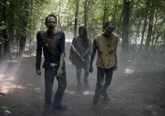 The-walking-dead-1013-michonne-gurira.jpg (469 kB)