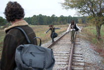 WD Us Carl Michonne Rick