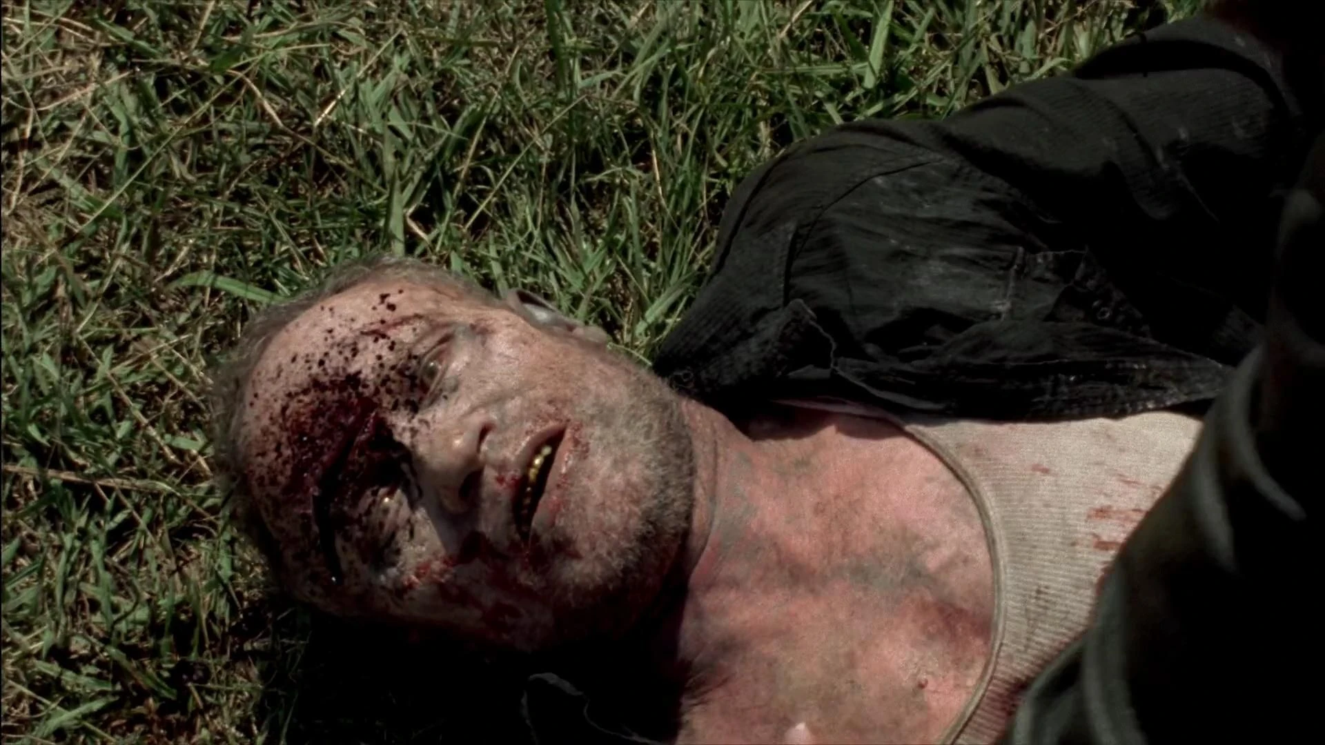 Merle Dixon | The Walking Dead Wiki | Fandom, image size:1920x1080