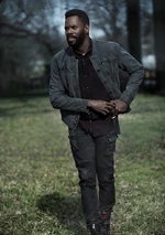 Victor-strand-fear-the-walking-dead.jpg (291 kB)