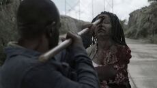 Ftwd-416 69469