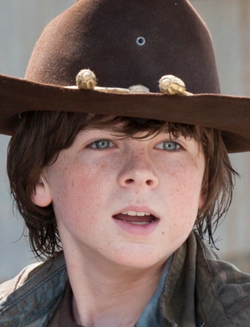Carl Grimes (Metamorphosis) | Afictionado Athenaeum Wiki | Fandom