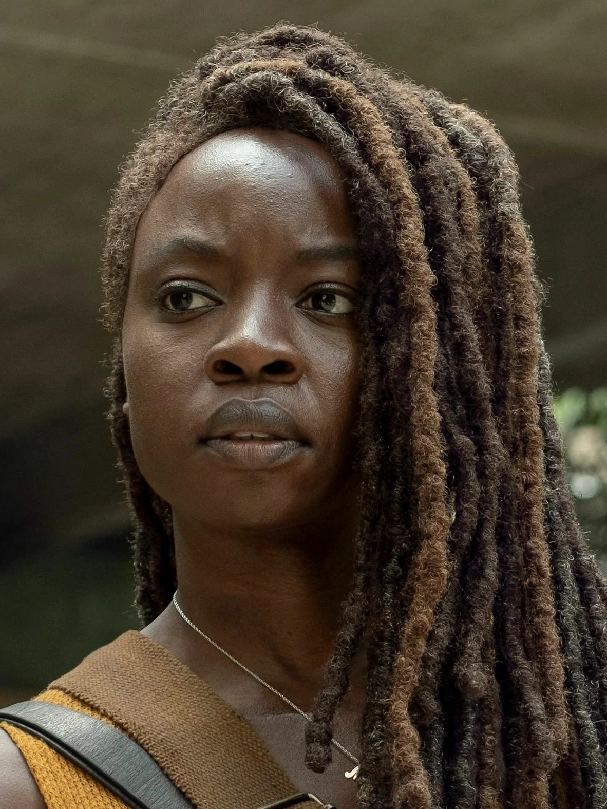 Michonne The Walking Dead Wiki Fandom