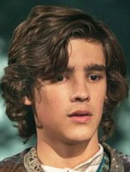 Die Helfergruppe Curtis