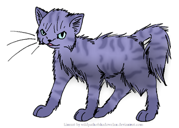 Warrior Cats png images