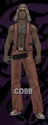 Cobb (Unleash the Fury) in Rumble Mode