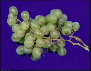 Grapes