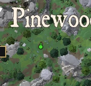 Clue Easy Muller PinewoodHills Map