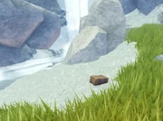 Tribal Forest Treasure Location