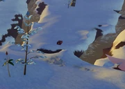 Glacial Hollow Tresure location