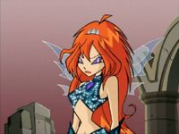 WinX-2x26-074.jpg