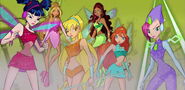 2x12-WinxTogether